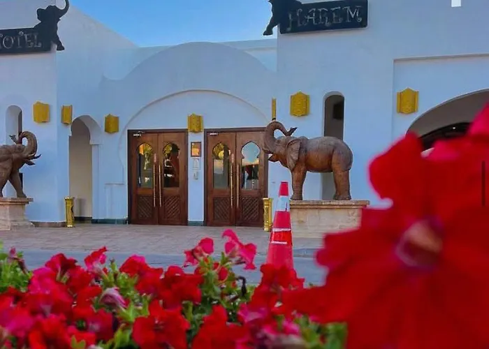 Harem Coral Bay Sheikh Apartment