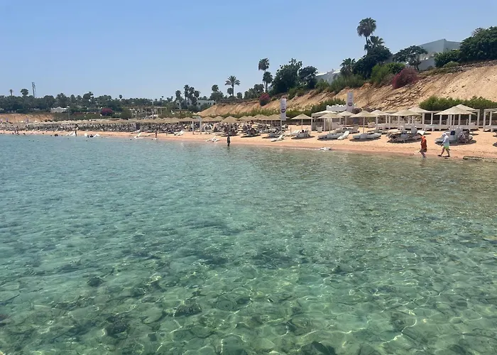 Harem Coral Bay Sheikh *