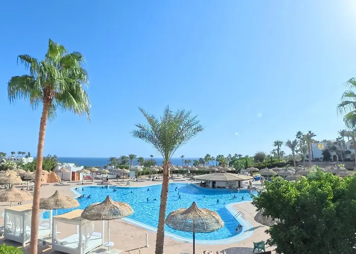 Harem Coral Bay Sheikh *