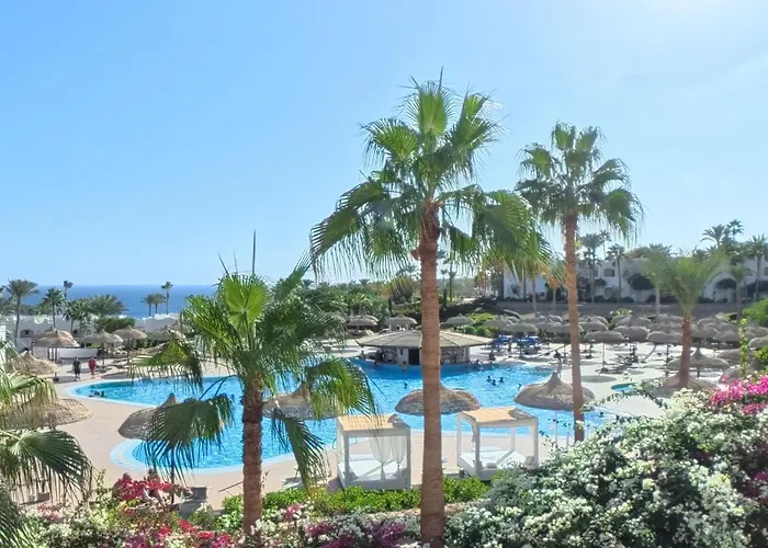 Harem Coral Bay Sheikh