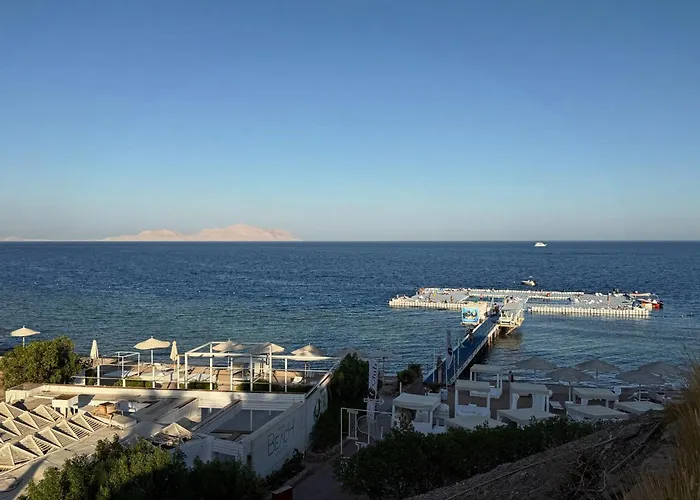Harem Coral Bay Sheikh